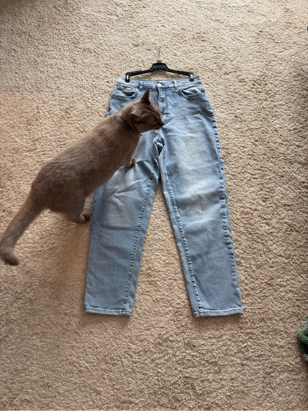 Light Blue Straight Leg Women’s Jeans